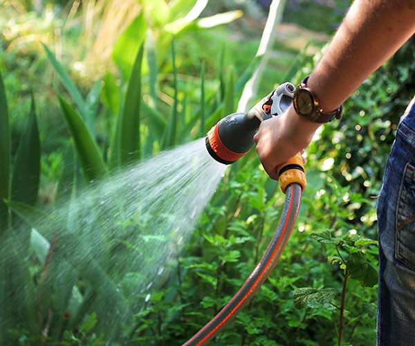 Garden irrigation