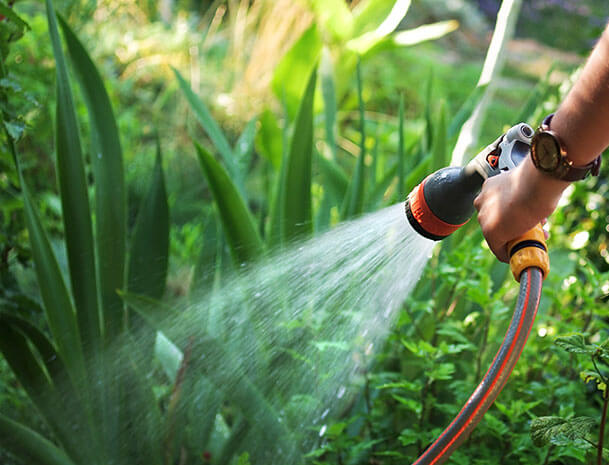 Garden irrigation