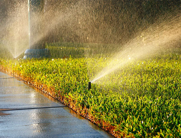 Garden maintenance